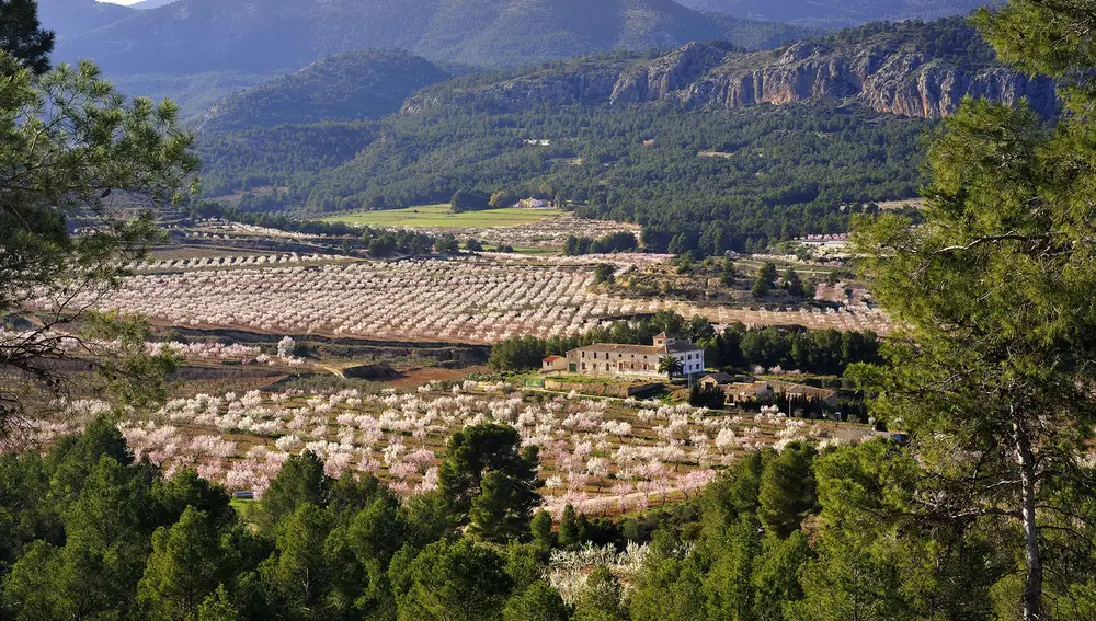 Murcia en primavera: un paraíso para visitar con una autocaravana o camper de alquiler