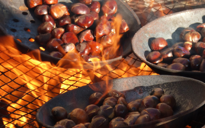 Fiestas de otoño en España en Camper: Magostos, Ferias del Queso y Vendimias