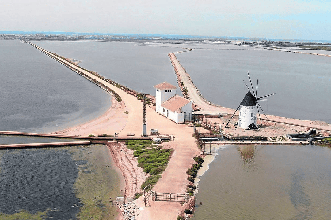 salinas san pedro del pinatar