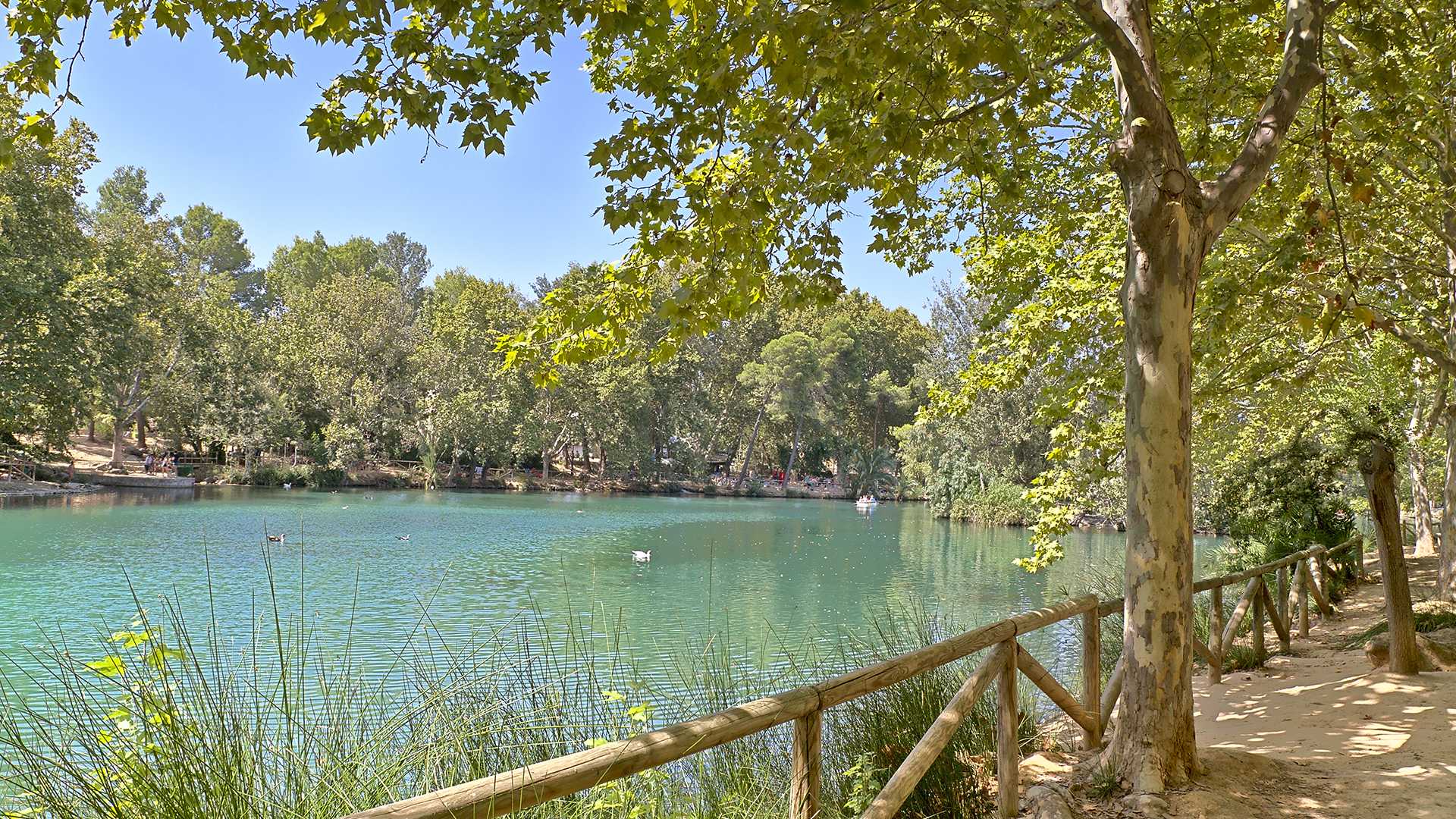 Playa Fluvial de Anna