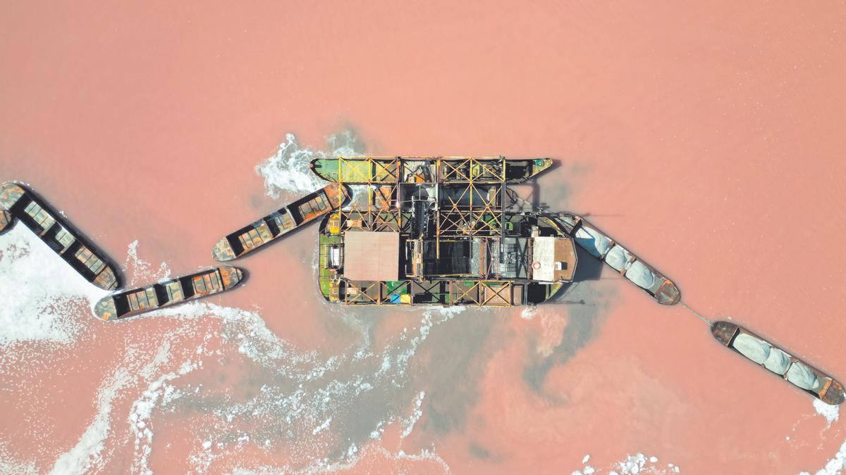 aeeal view torrevieja salt