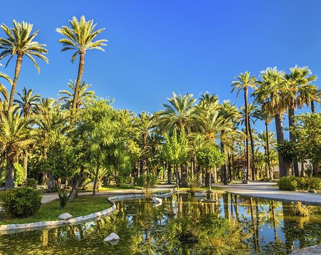 alquiler autocaravanas elche furgonetas camper