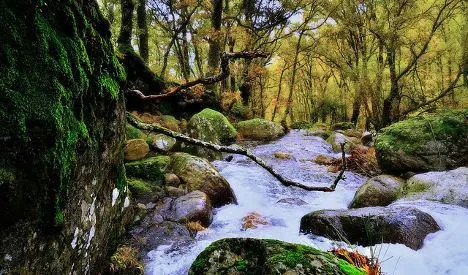 El hechizo del otoño, ruta por la Selva de Irati en autocaravana