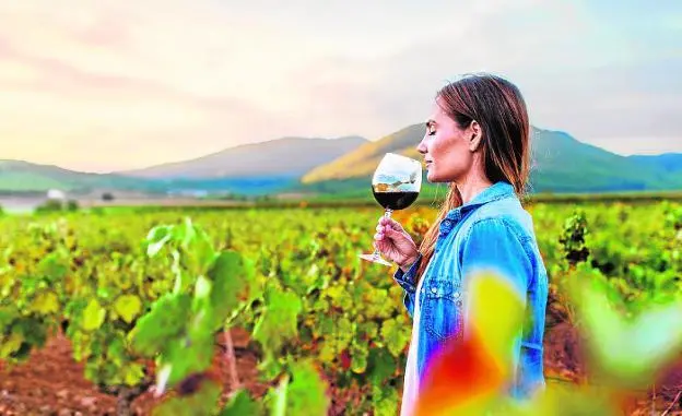 Ruta del vino: la Región Murcia en autocaravana de alquiler. Conoce hasta 3 denominaciones de origen.