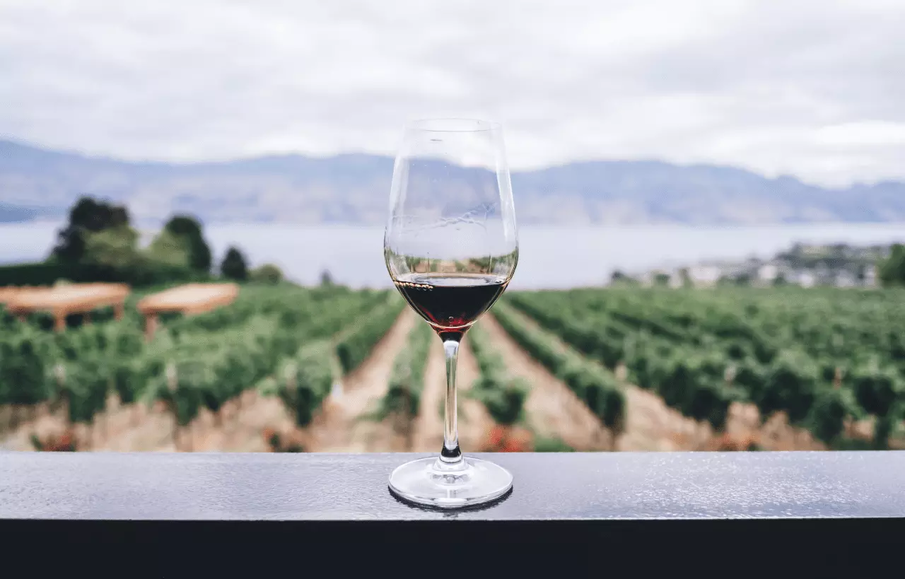 Wine route: the Region of Murcia in a rented motorhome. Get to know up to 3 denominations of origin.