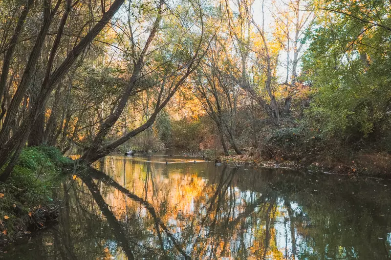 Área Recreativa El Pardo, Río Manzanares