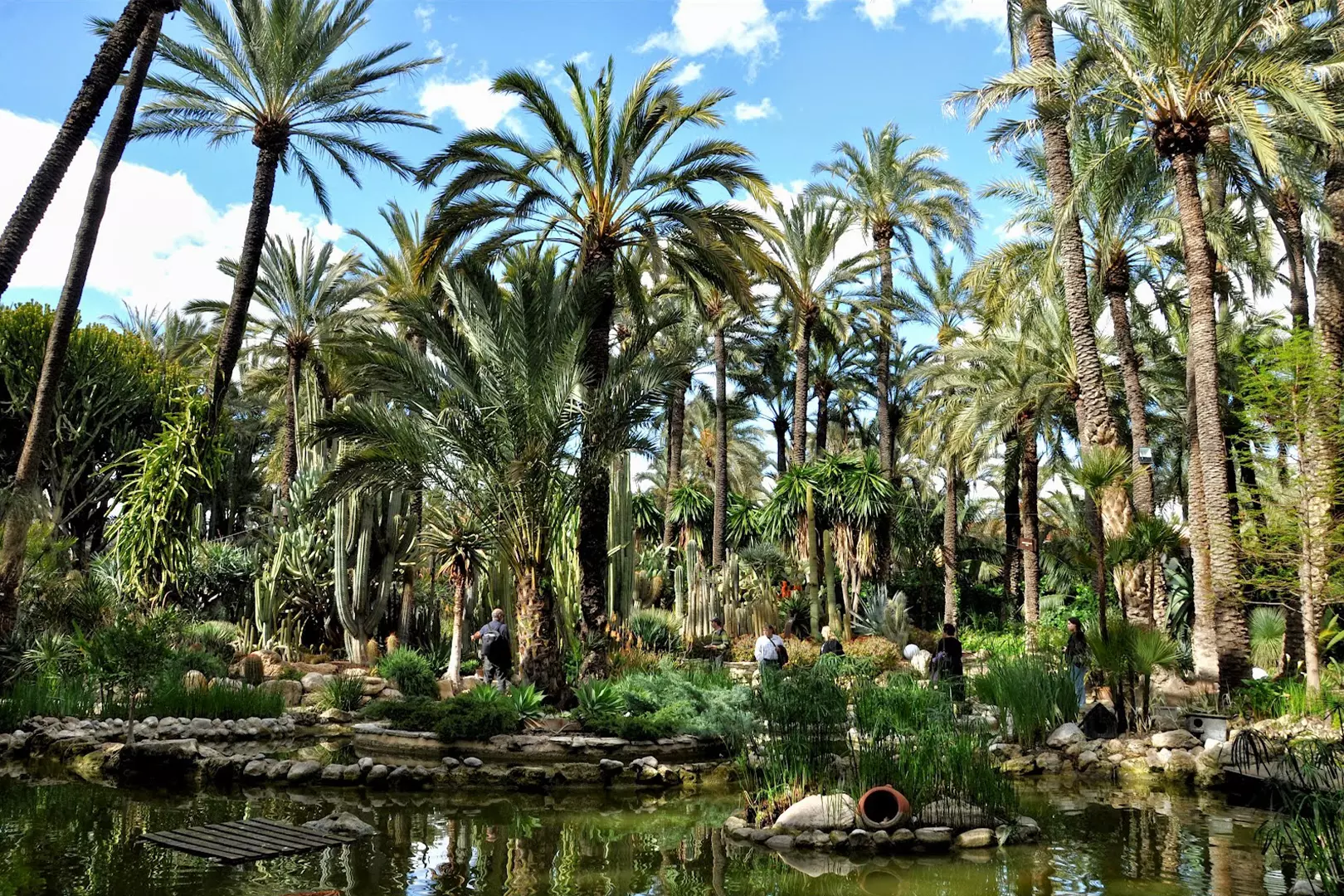 palmeral elche
